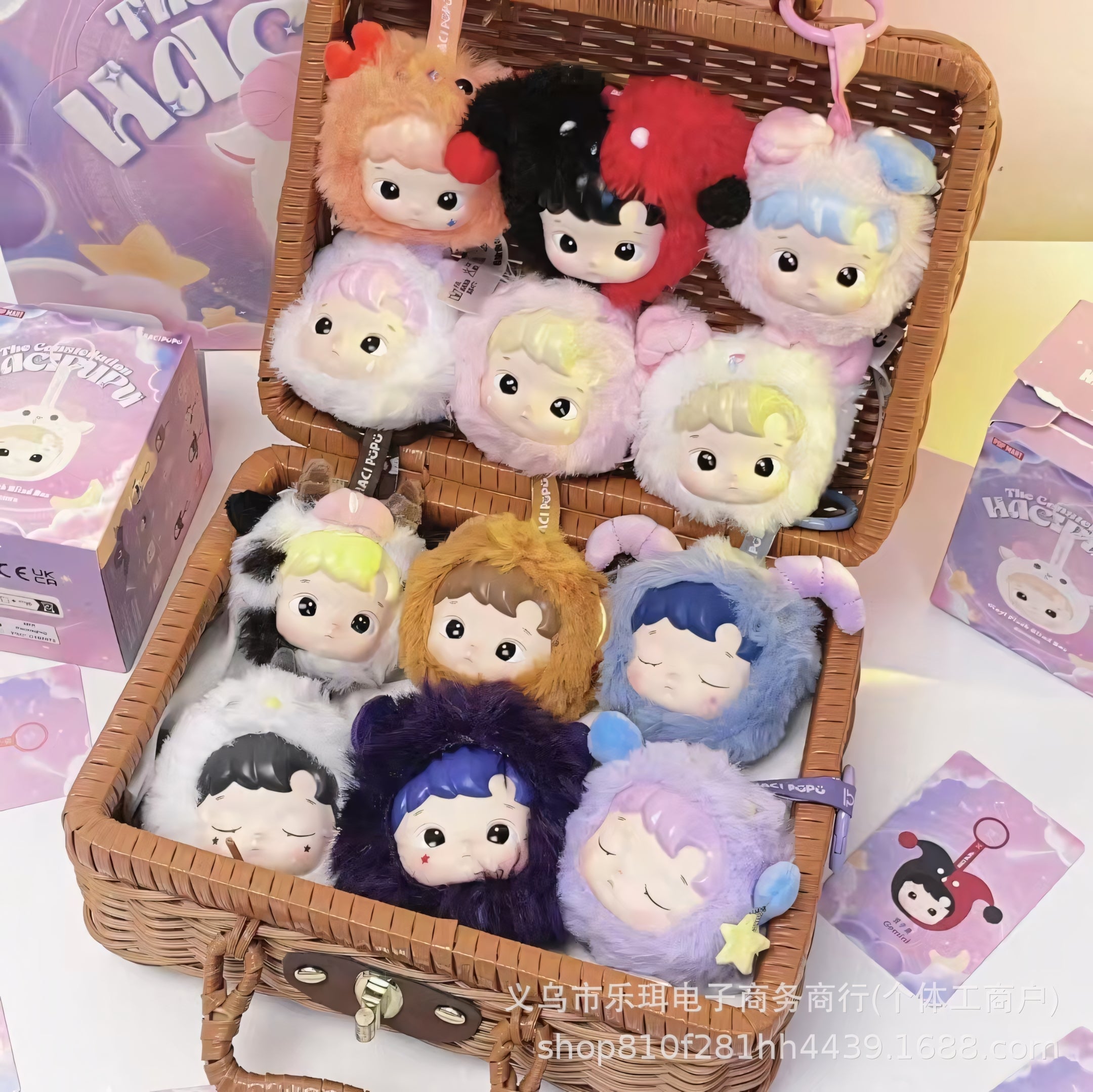 HACIPUPU The Constellation  Vinyl Plush Blind Box